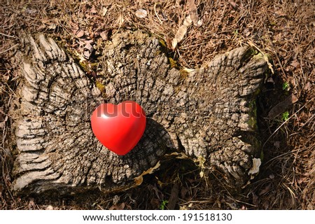 Red heart shape on a tree trunk