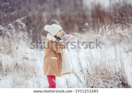 A little girl holds snow in her hands and blows on it. Snow flies. She stands against the background of tall grass. Winter. Photo with selective focus 
