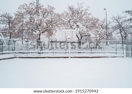 Horizontal view of scenic snow nature postcard with copyspace. Trees and fields covered with white snow in winter. Christmas seasonal cold weather concept.