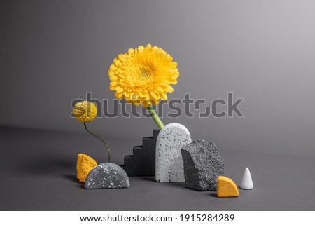 Natural concept with textured monochrome stones, varied figures and flowers. Abstract minimalistic geometry objects. Modern background. Fashion colors of 2021 year - yellow and gray.