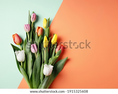 Overhead view of bouquet of colorful tulips on dual tone orange and mint background. Minimal floral spring concept. Valentine's or 8th March background. Flat lay, top view. Royalty-Free Stock Photo #1915325608
