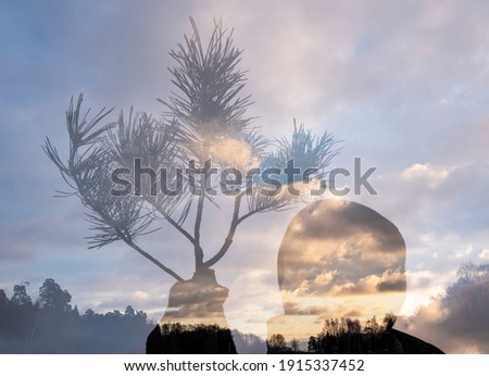 Soft focus. Defocus. The silhouette of a man with a sprig of spruce on a blue background of clouds and trees.