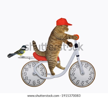 A beige dog in a red cap rides a bike with wheels look like a clock face dial. White background. Isolated.