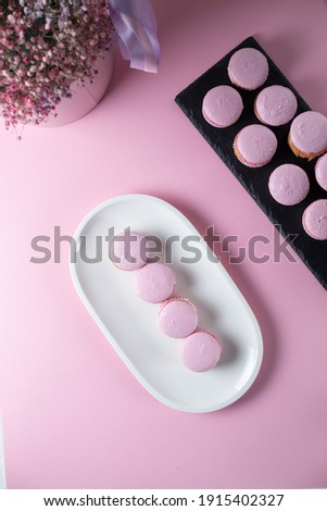 Tender French macaroni cakes in pink on a white oval plate, space for text