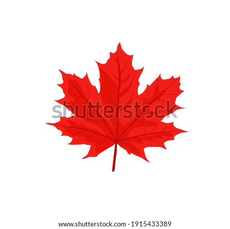 Maple leaves vector illustration. Autumn  Fall leaves maple Royalty-Free Stock Photo #1915433389