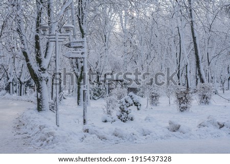 Photo of a city park in the snow