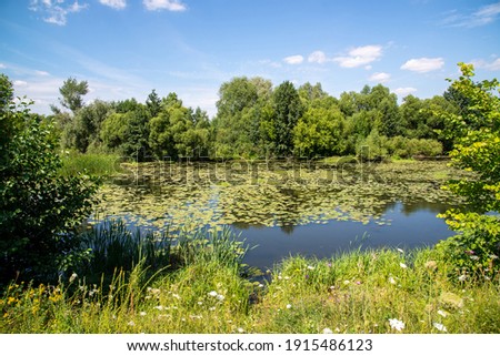 Beautiful summer countryside landscape with river and the water lily leaves