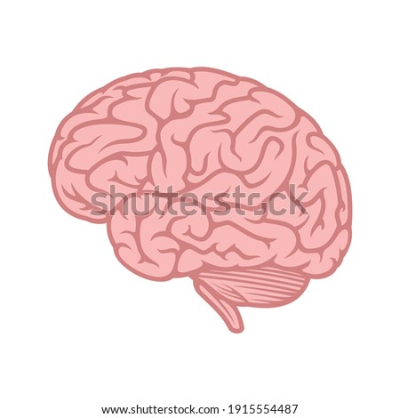 Brain icon for graphic design projects Royalty-Free Stock Photo #1915554487