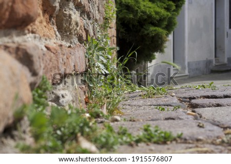 
Old and abandoned city street
