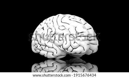 human brain on dark background 3d illustration