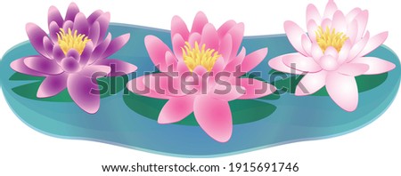 Water lilies in water Graphic
