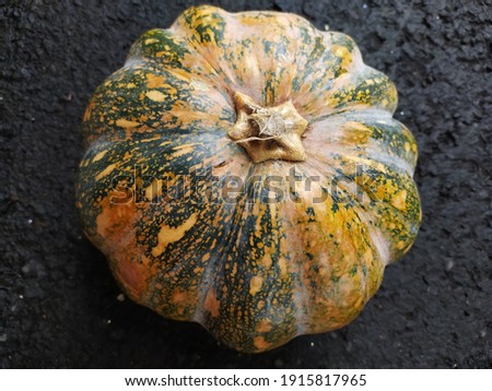 the view of pumpkin isolated black