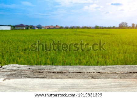 Wooden Table Top With Background Grass Blur Can Be Used For Display Or Editing Of Your Product Stock Photos And Images Avopix Com