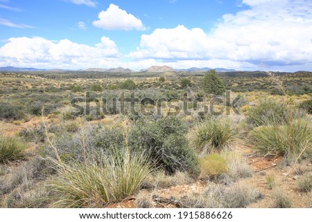 Countryside in Hidalgo County, New Mexico, USA Royalty-Free Stock Photo #1915886626