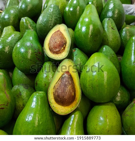 Avocado - Persea Americana, Lauraceae Plant Family