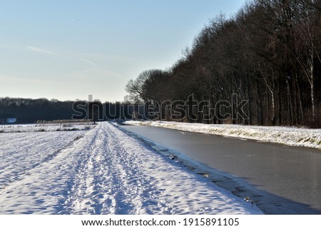 A frozen Dutch canal and footpath which is lined with trees along one side