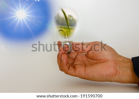 Sun with hands that holds light bulb with grass inside,Energy and environment concept