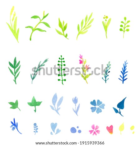 set of 26 watercolor elements - decorative multicolored spring flowers, leaves and herbs