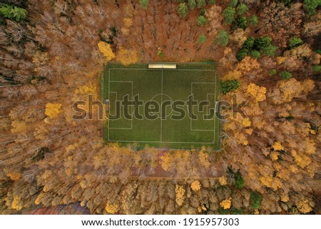 Football field in the park in autumn with drone shooting Leaves, yellow, park Meshchersky Moscow