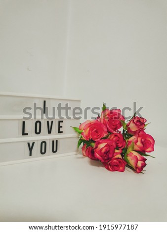 Stylish text frame lightbox with the inscription I love you and pink roses around