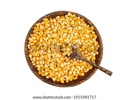Dry corn grains in bowl for making popcorn. Studio Photo