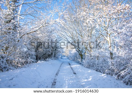 Snowy Landscapes in British Winter Royalty-Free Stock Photo #1916014630