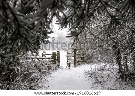Snowy Winter in England, UK Royalty-Free Stock Photo #1916016619