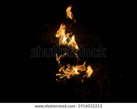 A yellow-red heat-energy flame, a strange shape, a close-knit thermal energy that burns fuel at night. A heat lamp on a black background