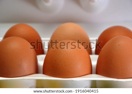 A chicken egg lies in a shipping box for sale in a supermarket