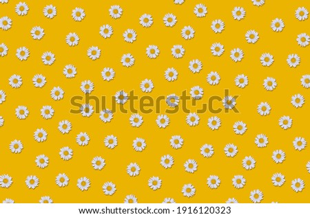 Floral pattern, chamomile buds on a bright yellow background.