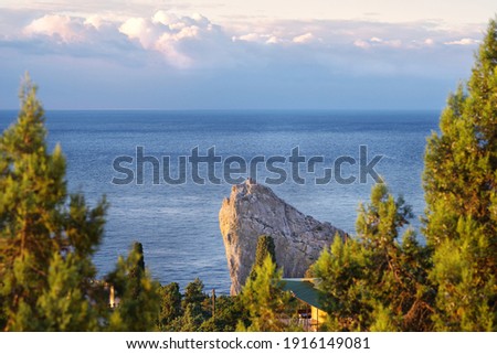 Rock Diva toad Simeiz beach background green plants sunny weather clouds