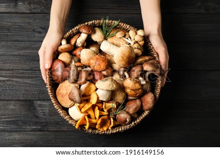 Woman holding wicker bowl with different wild mushrooms at black wooden table, top view Royalty-Free Stock Photo #1916149156