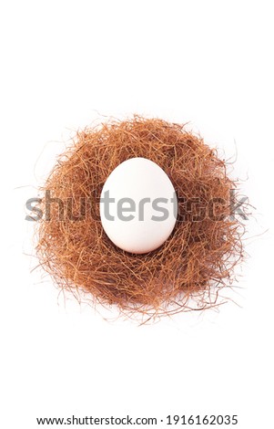 White egg in a bird's nest, isolated on a white background