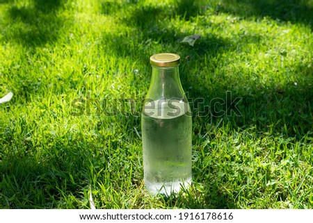 water bottle fresh cold water outdoors grass wet healthy vegan lifestyle daisies green natural nature sunlight sunny milk bottle