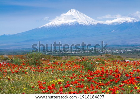 Mount Ararat (Turkey) at 5,137 m viewed from Yerevan, Armenia. This snow-capped dormant compound volcano consists of two major volcanic cones described in the Bible as the resting place of Noah's Ark. Royalty-Free Stock Photo #1916184697
