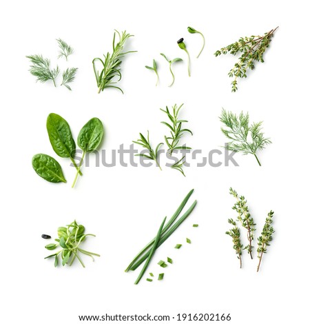 fresh herb and spices isolated on white background, top view Royalty-Free Stock Photo #1916202166