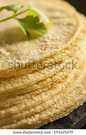 Stack of Homemade Corn Tortillas on a Background