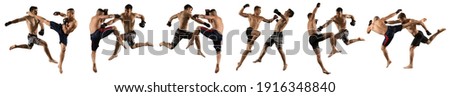 MMA collage.  Mixed martial arts fighter (MMA) isolated on white background Royalty-Free Stock Photo #1916348840