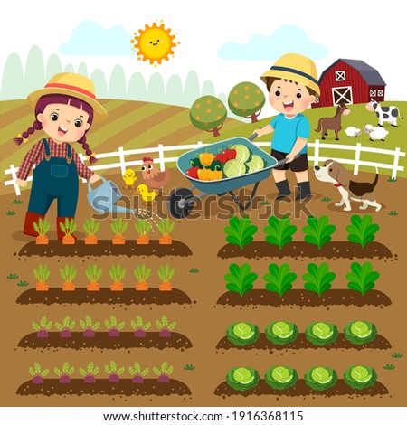Vector illustration cartoon of girl watering vegetable plants and boy pushing the wheelbarrow of vegetables on the farm. Royalty-Free Stock Photo #1916368115