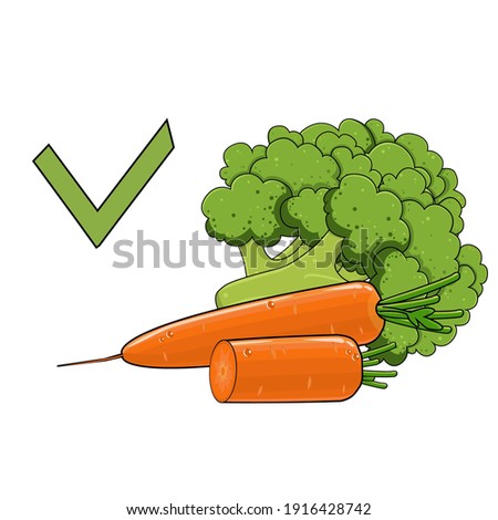 Broccoli and carrots, healthy lifestyle logo, vector illustration on a white background