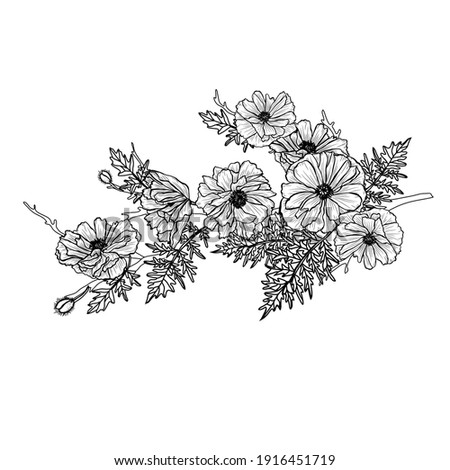 Decorative hand drawn poppy flowers, design elements. Can be used for cards, invitations, banners, posters, print design. Floral background in line art style
