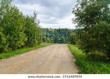 The road to the forest in summer Royalty-Free Stock Photo #1916489894