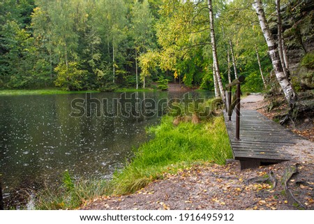 Early autumn picture of a Black pond in rain with grass on the shore. Wooden bridge with clay trail on the side and sandstone rock peeking through white birches with yellow leaves.