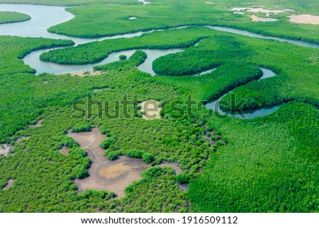 Aerial View of Green Mangrove Forest. Nature Landscape. Amazon River. Amazon Rainforest. South America. Royalty-Free Stock Photo #1916509112