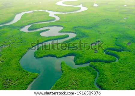 Aerial View of Green Mangrove Forest. Nature Landscape. Tropical Rainforest. Africa. Gambia. Senegal. Royalty-Free Stock Photo #1916509376