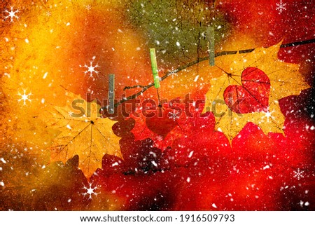 Autumn maple red and yellow last leaves with love hearts hanged by clothespins on a tree branch. Сolorful fall nature blurred background with snowflakes. Paper texture Royalty-Free Stock Photo #1916509793