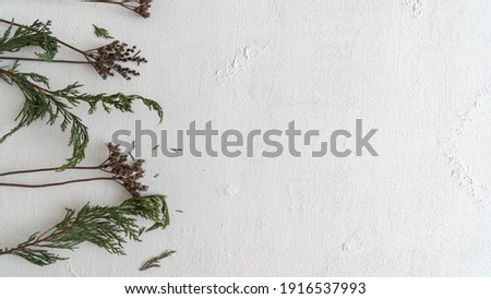 Dried leaves on a white background. Free space available 