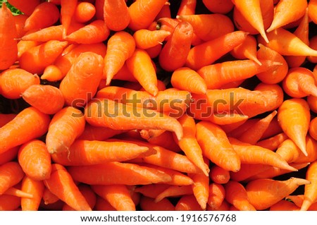 basket full of fresh orange carrots closeup picture 