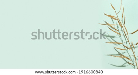 Creative golden painted herbarium grass. Autumn season concept. Gold autumn. Decoration plant on light green paper background with copy space. 