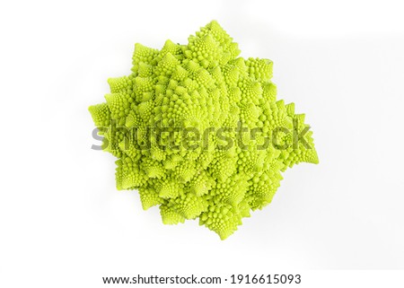 Romanesque Broccoli in white background